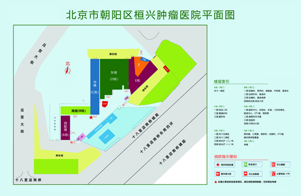 草烂骚逼视频北京市朝阳区桓兴肿瘤医院平面图